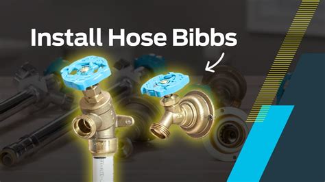 Hose Bibb Assembly