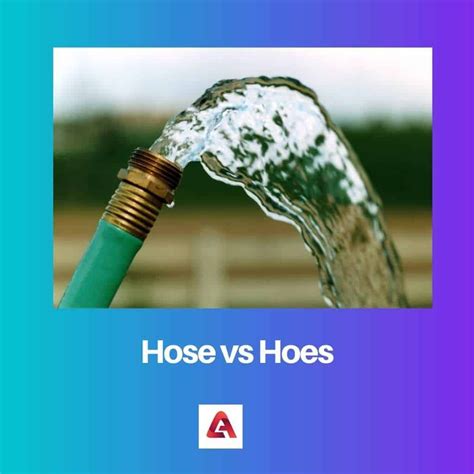hose hoes
