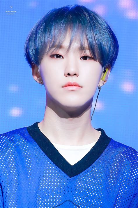 Hoshi Seventeen English Name