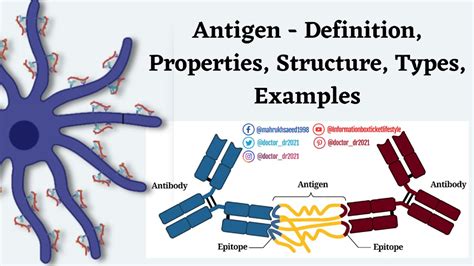 Host Antigens Definition