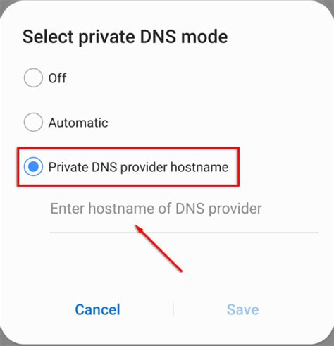 hostname of dns provider