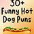 hot dog puns