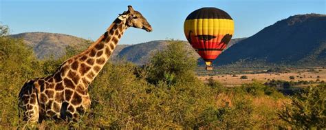 hot air balloon rides johannesburg