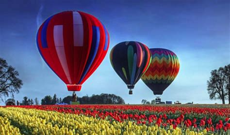 hot air balloon toronto booking