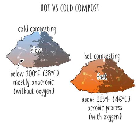 Hot Compost Vs Cold Compost
