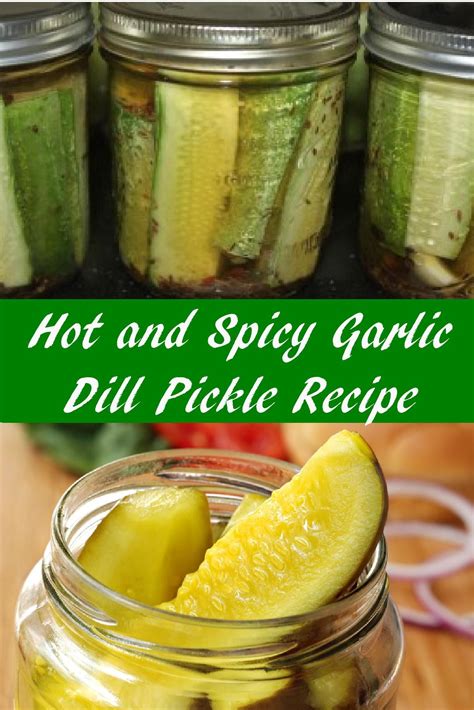 Hot Dill Pickles: A Savory Sensation Worth Trying This Season