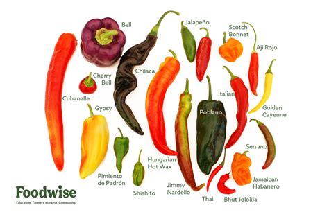 Hot Pepper Meaning