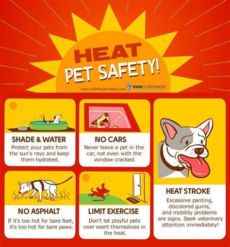 hot weather pet safety tips