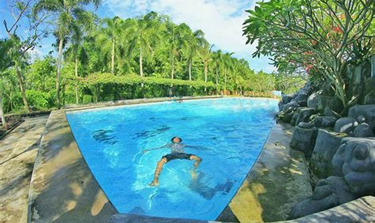 Temukan Hotel dengan Kolam Renang Terbaik di Jember, Surga Relaksasi dan Kemewahan