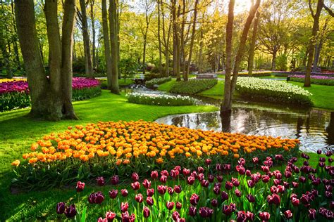 Visit the Keukenhof, the largest flower garden in the world Hotel