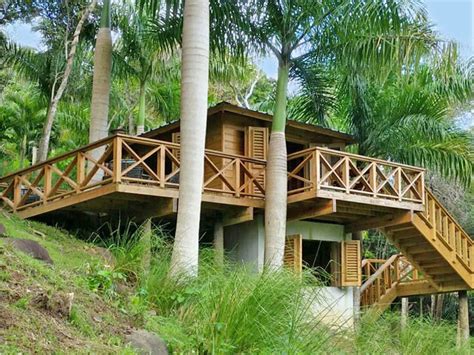 Hotels Near El Yunque National Forest: A Guide To The Best Accommodation Options