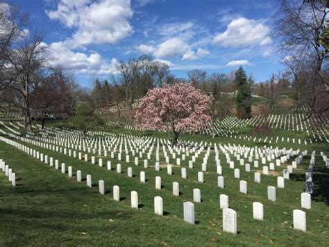 hotels close to arlington cemetery