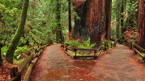 hotels near muir woods national monument