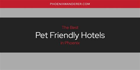 Hotels Pet Friendly Phoenix