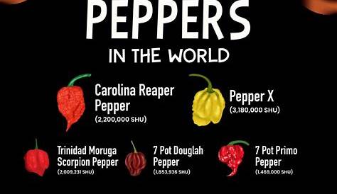 UK’s Hottest Ever Commercially Grown Pepper Takes 10