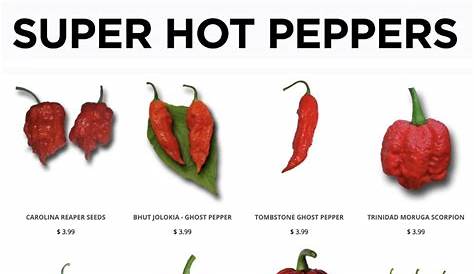 Hottest Pepper In The World 2018 Top 12 s Cayenne Diane
