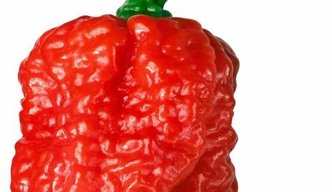 How to survive eating a Carolina Reaper, the world’s