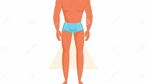 Hourglass Body Shape Male Which Is The Least Desirable On Women Quora