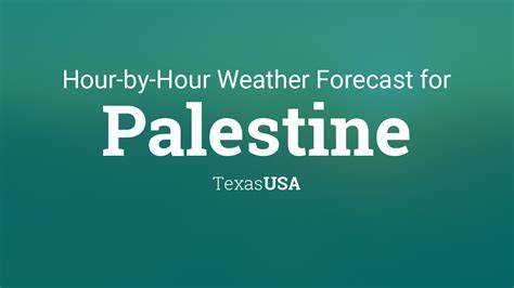 hourly weather for palestine texas