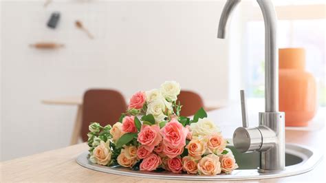 House Digest Survey Which Type Of Sink Would You Love To Have In Your Kitchen? Exclusive