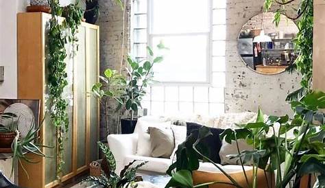 House Plants Decor Living Room Interior Design Coffee Tables
