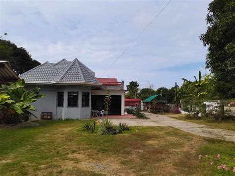 house and lot for sale in aringay la union