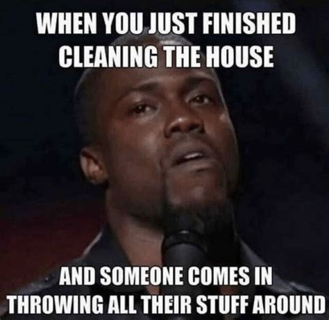 house clean out meme