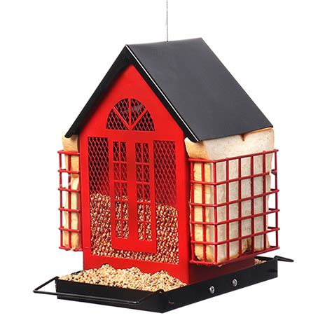 House Finch Feeder