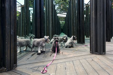 House Of Mirrors Effect