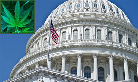 house of representatives marijuana bill