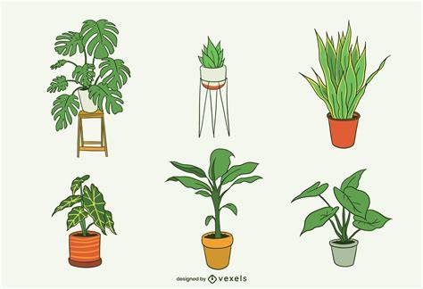 House Plant Drawing at GetDrawings Free download