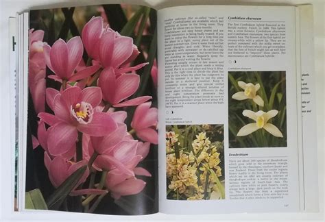 House Plants Encyclopedia