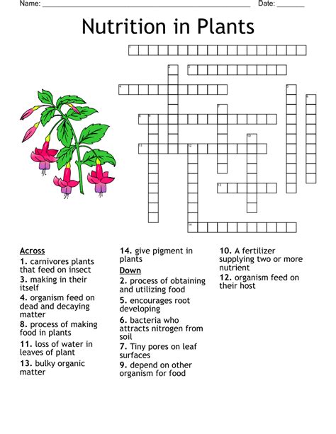 houseplants used medicinally crossword