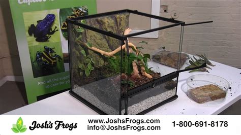 Housing A Dart Frog