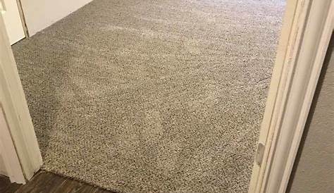 Patterned Carpet Floor Coverings International Houston Heights