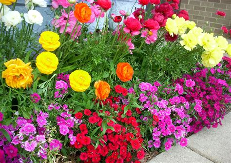 houston 77094 flowers market