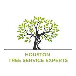 houston tree service experts
