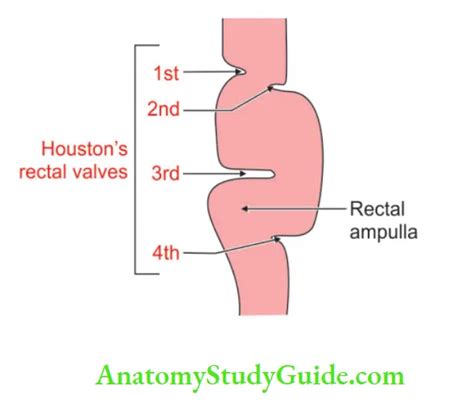 Houston Valve Function