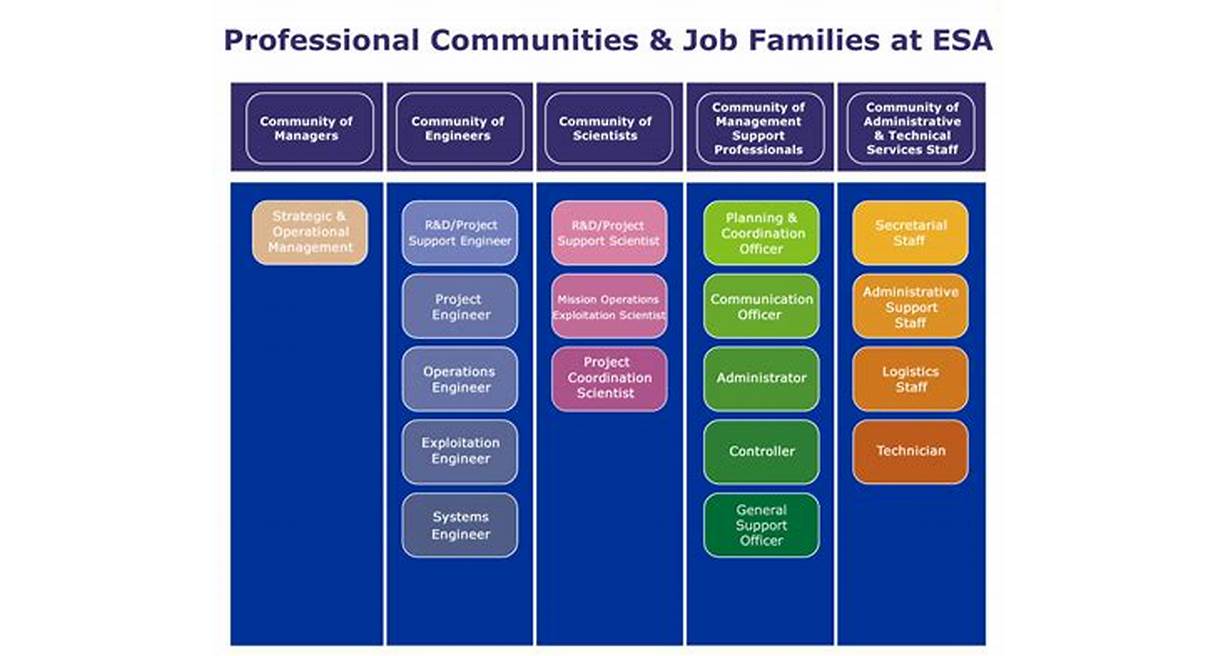 How are Jobs Grouped Together in Job Families