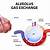 how are the alveoli adapted for gas exchange