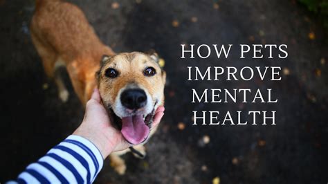How Can Dogs Improve Your Mental Health