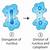 how do amoeba reproduce