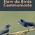 how do birds communicate
