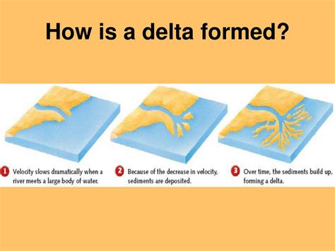 10 Facts about Deltas Fact File
