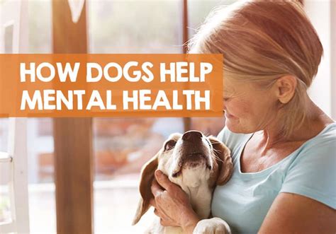 How Do Dogs Help Your Mental Health