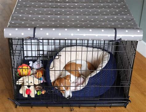 How to crate train a puppy at night Dog Parenting 101