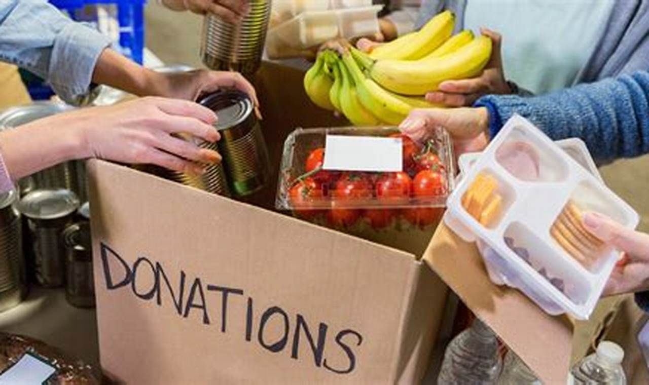 How to Volunteer at a Food Bank: A Guide to Giving Back