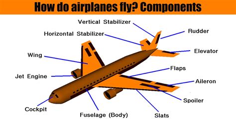 How Does Lift Work On An Airplane Wing Airplane Walls