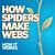 how do spider webs work?