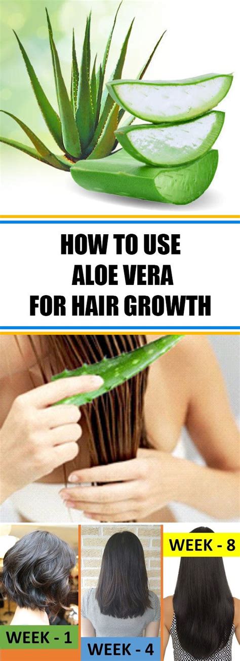 10 AMAZING USES OF ALOE VERA Project Wellness Now Aloe vera, Aloe